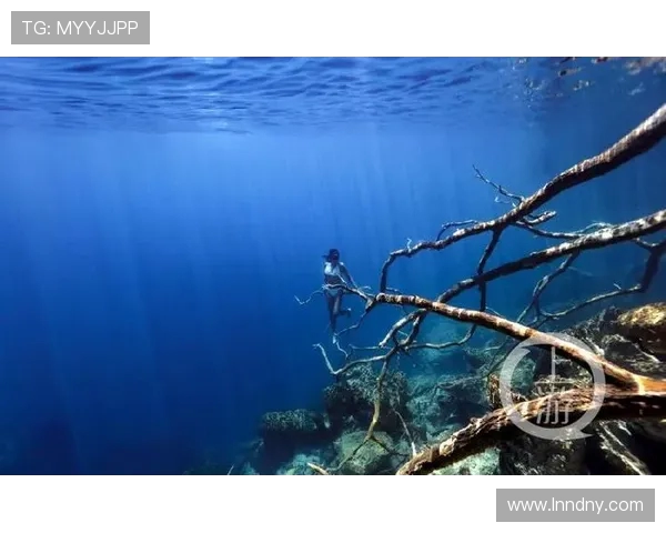 深圳极限运动队实力强劲荣登全国力量排行榜第六名