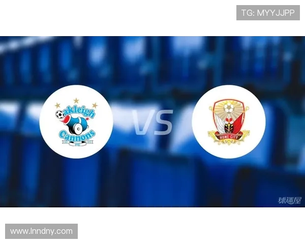 休城对决欧克莱卡诺精彩赛事分析与战术探讨