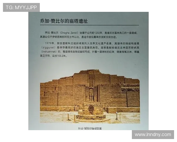 徐昕的艺术之路：从梦想起航到创作巅峰的心路历程与思考