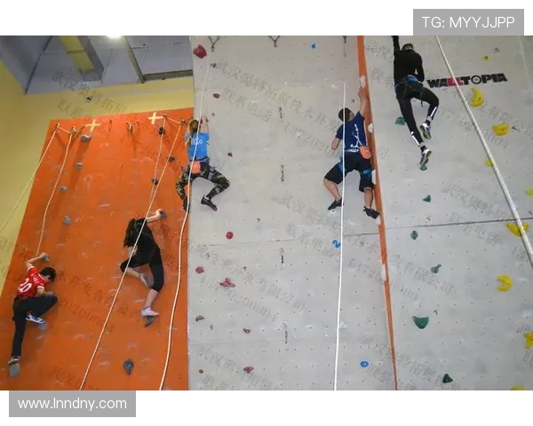 重庆攀岩队的耐力训练与攀岩技术提升的深度探讨