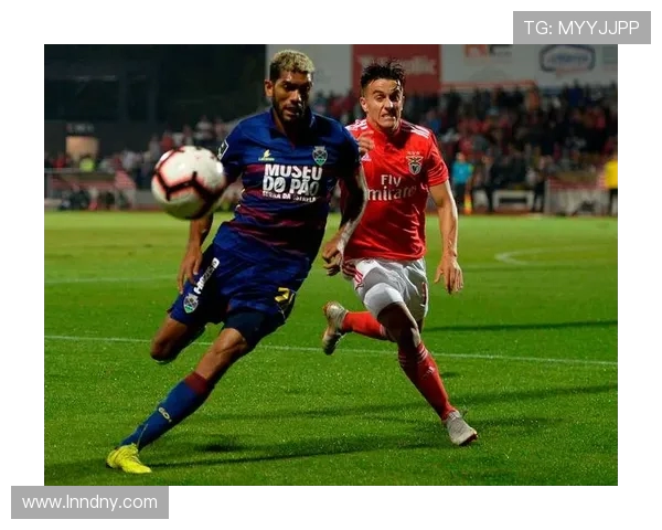 阿维斯与本菲卡的精彩对决赛程分析与前瞻展望