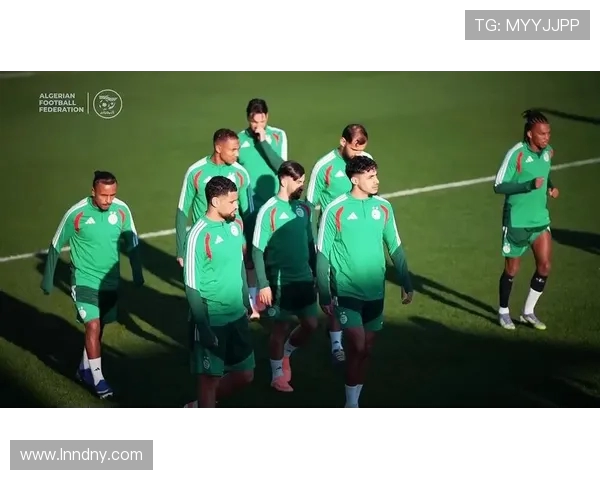 阿尔及利亚与尼日利亚精彩对决全场录像回放及精彩瞬间解析